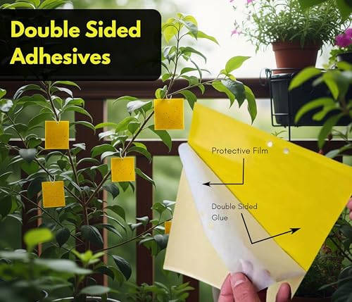 Image of Chipku Yellow Non Toxic Chemical Free Sticky Fly Trap Pads for Insects, Whiteflies, Aphids, Leaf Miner & Thrips (Yellow) (Garden Sticky Trap Pack of 10)