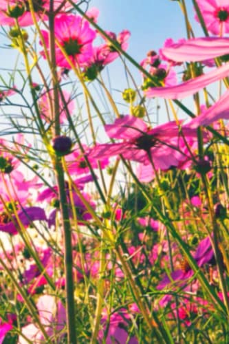 Premium Smart Planner Diary Everyday Bullet Journal A5 organiser