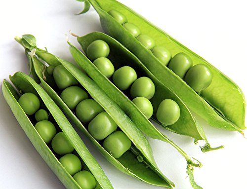 Green World Peas Imported OS - 10 For Kitchen Gardening (10 Seed (Pack Of 2)) (B0B75DJHZN) Amazon Price History, Amazon Price Tracker