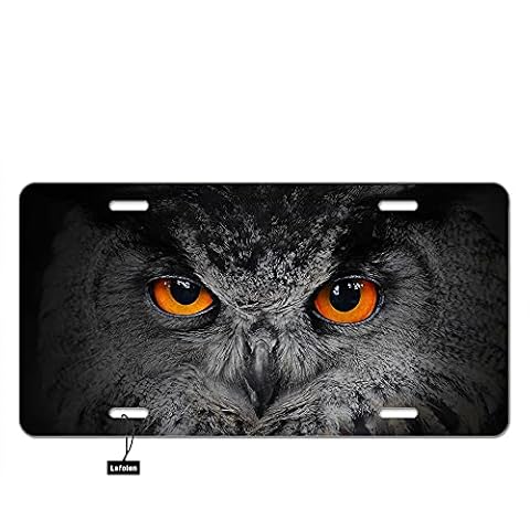 Lefolen Owl Glowing Eyes Car Front License Plates Evil Animal American Bird Eagle Black Head at Night Aluminum Metal Car Tag Vanity Plates 6 X 12 Inch for Men Woman Girls Boys Cover