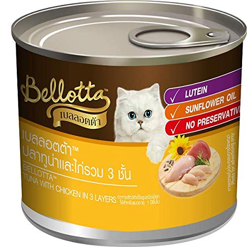 Top 10 Cat Foods In India Reviews & Buying Guide (August 2023)