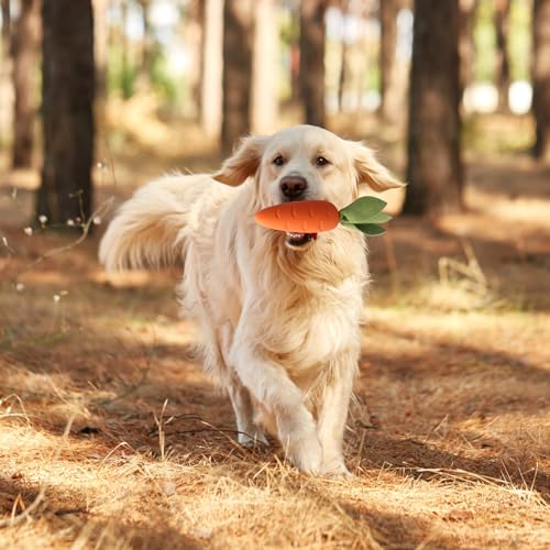 volumoon Hundespielzeug Karotte Ananas, Robustes Kauspielzeug für Welpen, hundekauspielzeug für Zahnreinigung, Gummi Dog Toys, Hund Spielzeug Unzerstörbar, für Kleine Welpen Mittelgroße (Ananas)