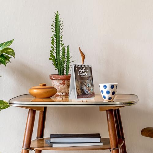 Alpha Edition - Katzenglück 2026 – Tischkalender 10,5×14,8 cm mit 53 Katzenmotiven & Sprüchen, dekorativer Aufstellkalender für Zuhause & Büro, perfektes Geschenk für Katzenliebhaber