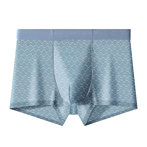 JEKE-DG Mens Ice Silk Mesh Boxer Briefs Breathable Cool Underwear Low Rise Stretch Boxers With Bulge Pouch (X-Large,Blue-1pc)