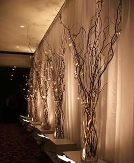 Thick and Tall Natural Curly Willow Branches for Decor, 3-4 Feet Long - ...