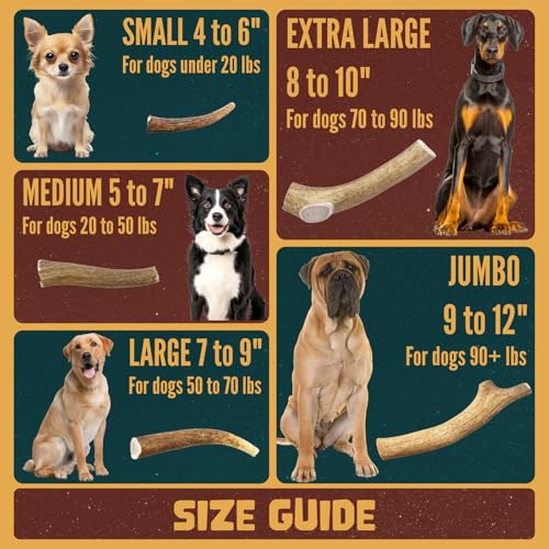 Image of X-Large Whole Elk Antler for Dogs, 8-10 inch Dog Bones for Aggressive Chewers