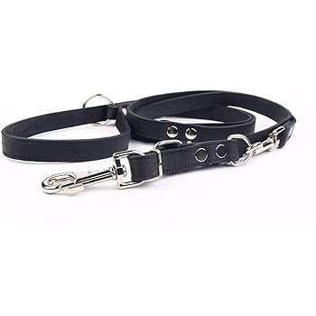 Echt Leder Hundeleine 1m Kurz Fuhrleine Ubungsleine Fur Mittelgrosse Und Grosse Hunde 2 Cm Breit Zweifarbig Schlaufe Gepolstert Mit Weichem Nappaleder Robuste Premiuim Qualitat Made In Germany Amazon De Haustier