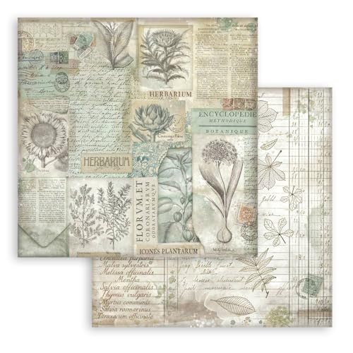 Stamperia - Scrapbook Paper Pad for Scrapbooks, Albums, Cards, Bullet Journals and More, Acid Free, Double-Sided, Perfect for Craft and Gifting (Herbarium Silvae Background Selection) (20.3 x 20.3cm)