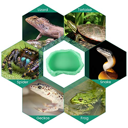 Reptile Food Water Rock Bowls - Luminous Amphibian Feeding Dish, Resin Rock Worm Feeder Terrarium for Lizards, Chameleon… - Image 6