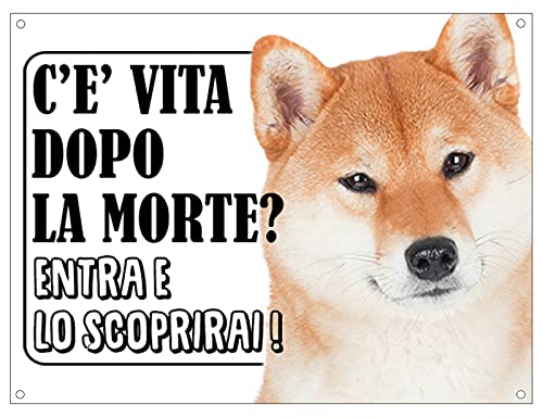 CARTELLO ATTENTI AL CANE - SHIBA INU c'è vita dopo la morte, entra e lo scoprirai - Con Adesivo in Vinile e Pannello in Forex (Adesivo)