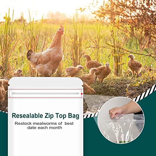 WORKPOINT 5LB 100% Natural Non-GMO High Protein Dried Mealworms, Large Size No Moisture, Perfect for Chickens Birds Hedgehog Hamster Fish Reptile Turtles - Image 6