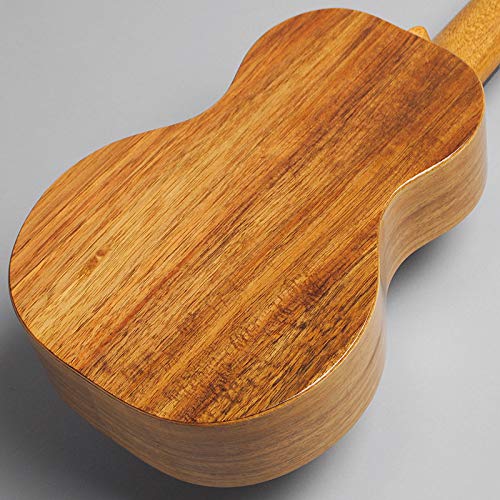 Amazon.co.jp: Kaala KU5C/NAT コンサートウクレレ カアラ : 楽器 