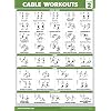 Palace Learning 4 Pack - Cable Machine Workout Posters Volume 1 & 2 + Stretching Exercises + Warm Up Exercises