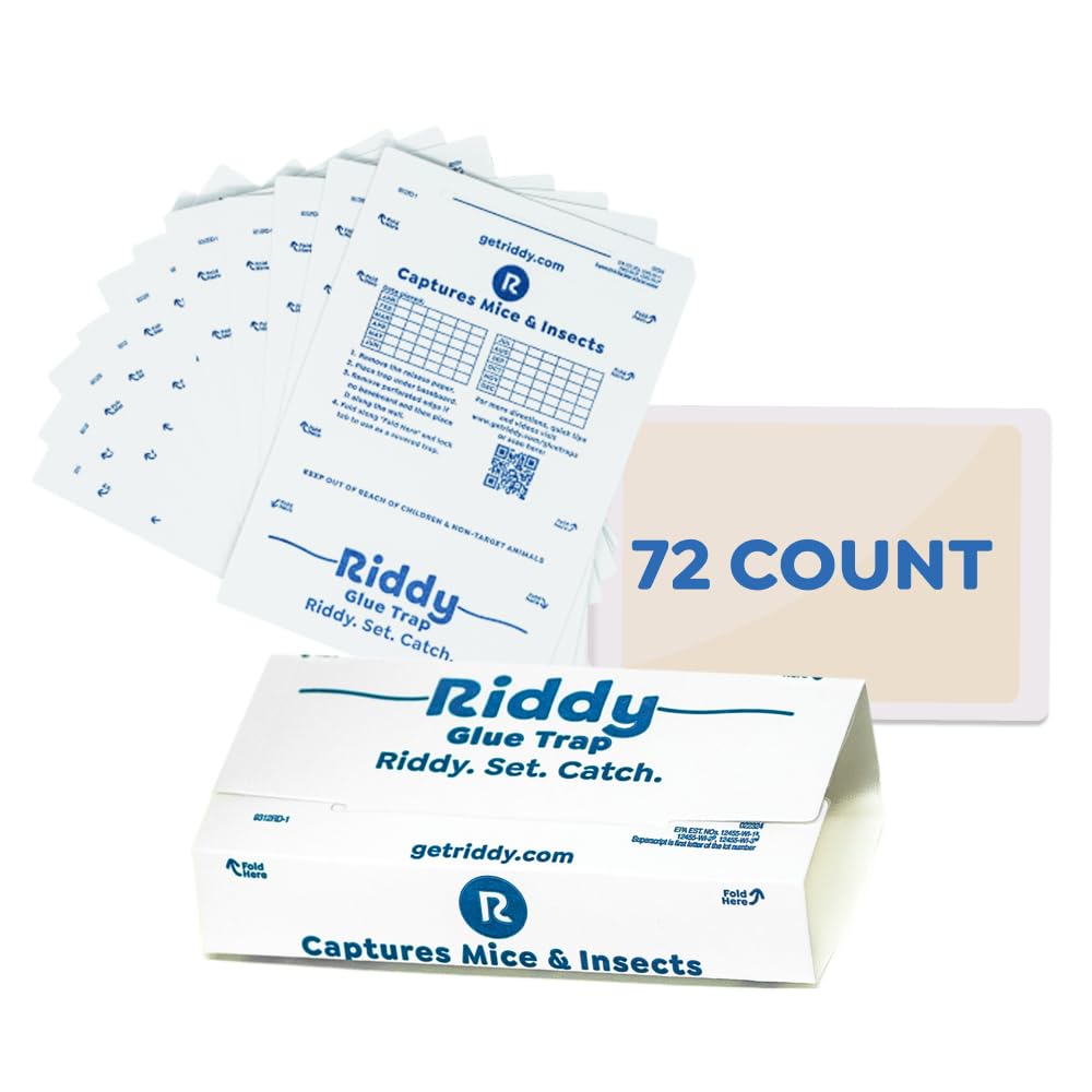 Amazon.com : Riddy Glue Boards, 72 Boards, Pre-Baited, Ready to Use ...