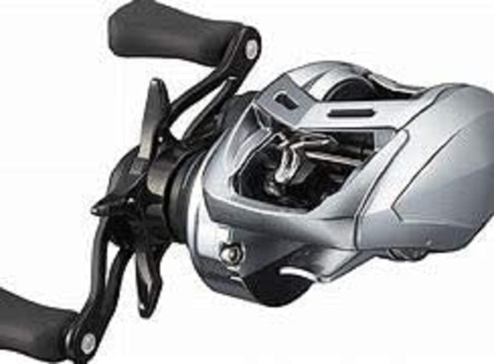 Daiwa Bait Reel 21 Alphas Sv Tw 800h 800xh Right | Desertcart INDIA