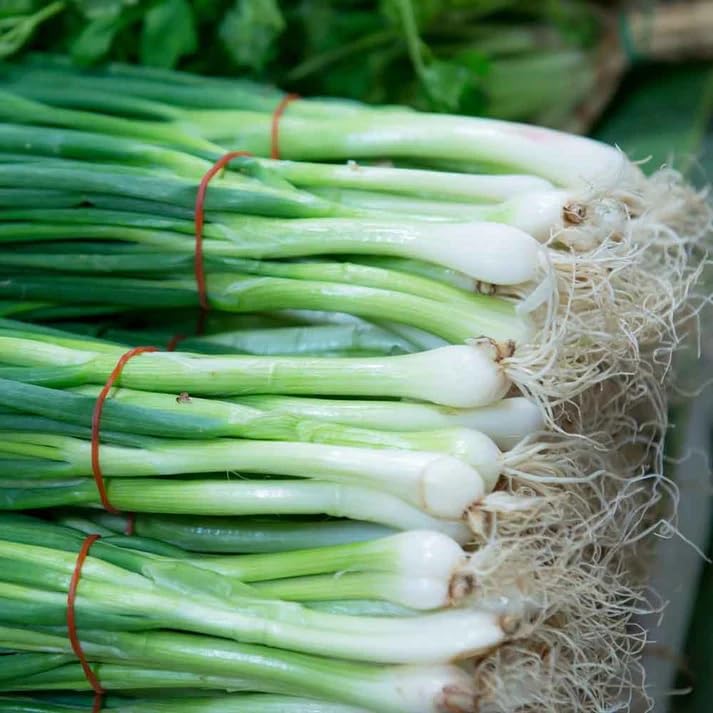 IGENRIC Spring Onion (Bunching Onion or Hari Pyaj), Vegetable Seeds, Good Germination Rate, Seeds For Home & Garden (B0D17G5V3Q) Amazon Price History, Amazon Price Tracker