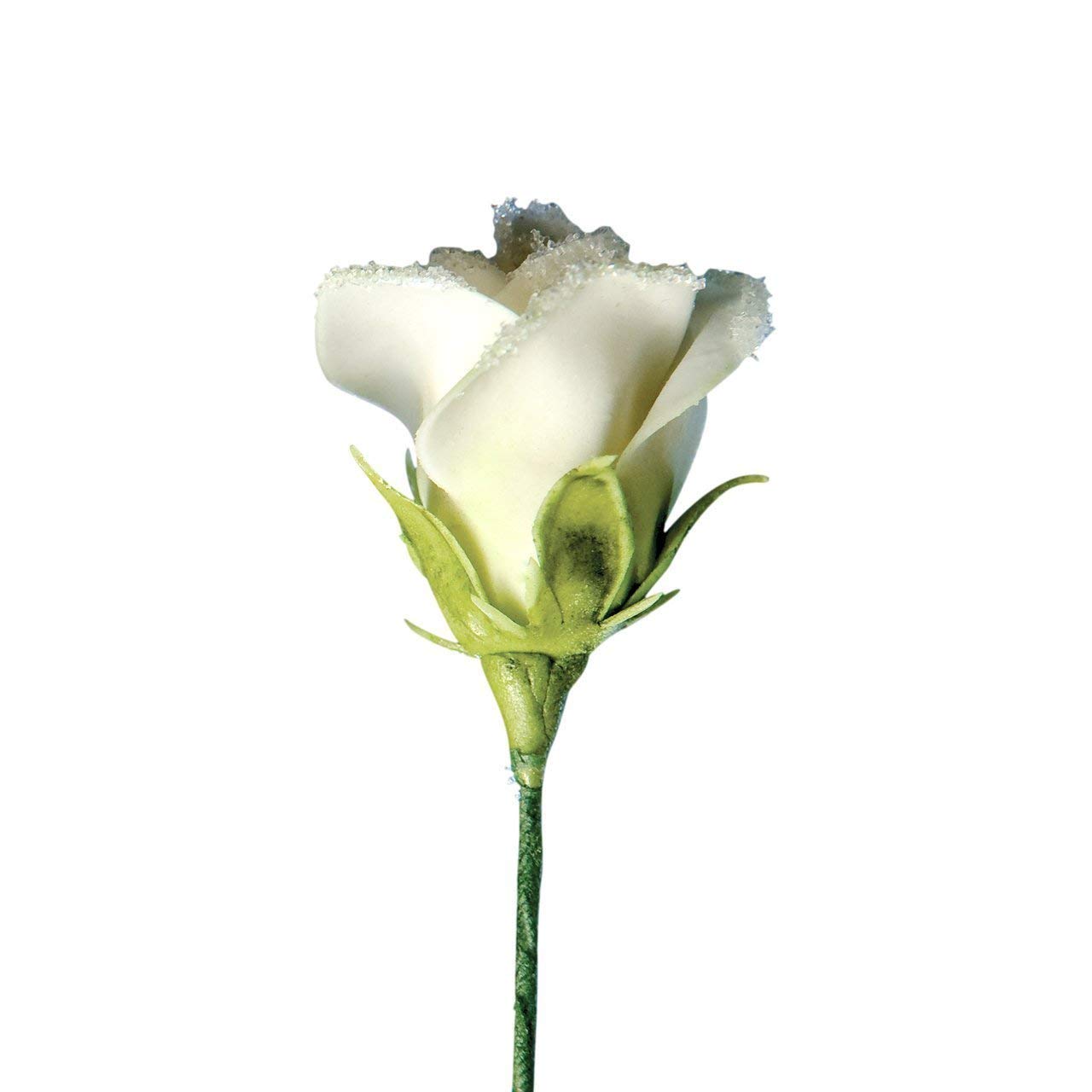 JEM Rose Petals and Calyx Cutters, Set of 8