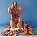ShuYing 1pc 55cm modèle de Torse Humain assemblé modèle médical modèle Anatomie Humain Corps bisexuel modèle Anatomique Montage Science Jouets éducatifs