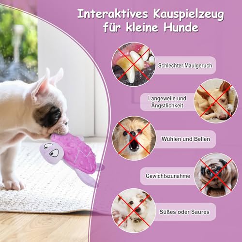 TONYFY Quietschendes Hundespielzeug, Meeresschildkröte Plüsch Hundespielzeug,Interaktives Spielzeug für Welpen zum Zahnen, Kauspielzeug für kleine Hunde (lila)