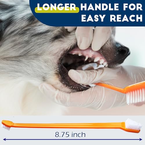Image of 200 Pcs Dog Toothbrush Cat Tooth Brushes Bulk, Double Sided Brushing Kit, Teeth Cleaning Kit Soft Bristles Long Handle, Pet Tooth Brush for Small to Large Dog, Cat, Puppy & Kitten, 10 Colors