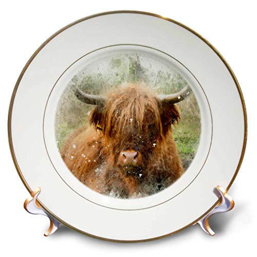 3dRose Anne Marie Baugh - Impressionist Mixed Media Art - Image of Watercolor Highland Cow Art - 8 inch Porcelain Plate (cp_323612_1)