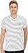 U.S. Polo Assn. Men's Thin Stripe V-Neck T-Shirt, White, Large