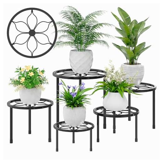 17 Foxtail Fern Ideas to Transform Your Home and Garden 4 VECELO Metal Plant Stands Set of 5, Multiple Heavy Duty Flower Pot Stand, Round Plant Holder, Black
