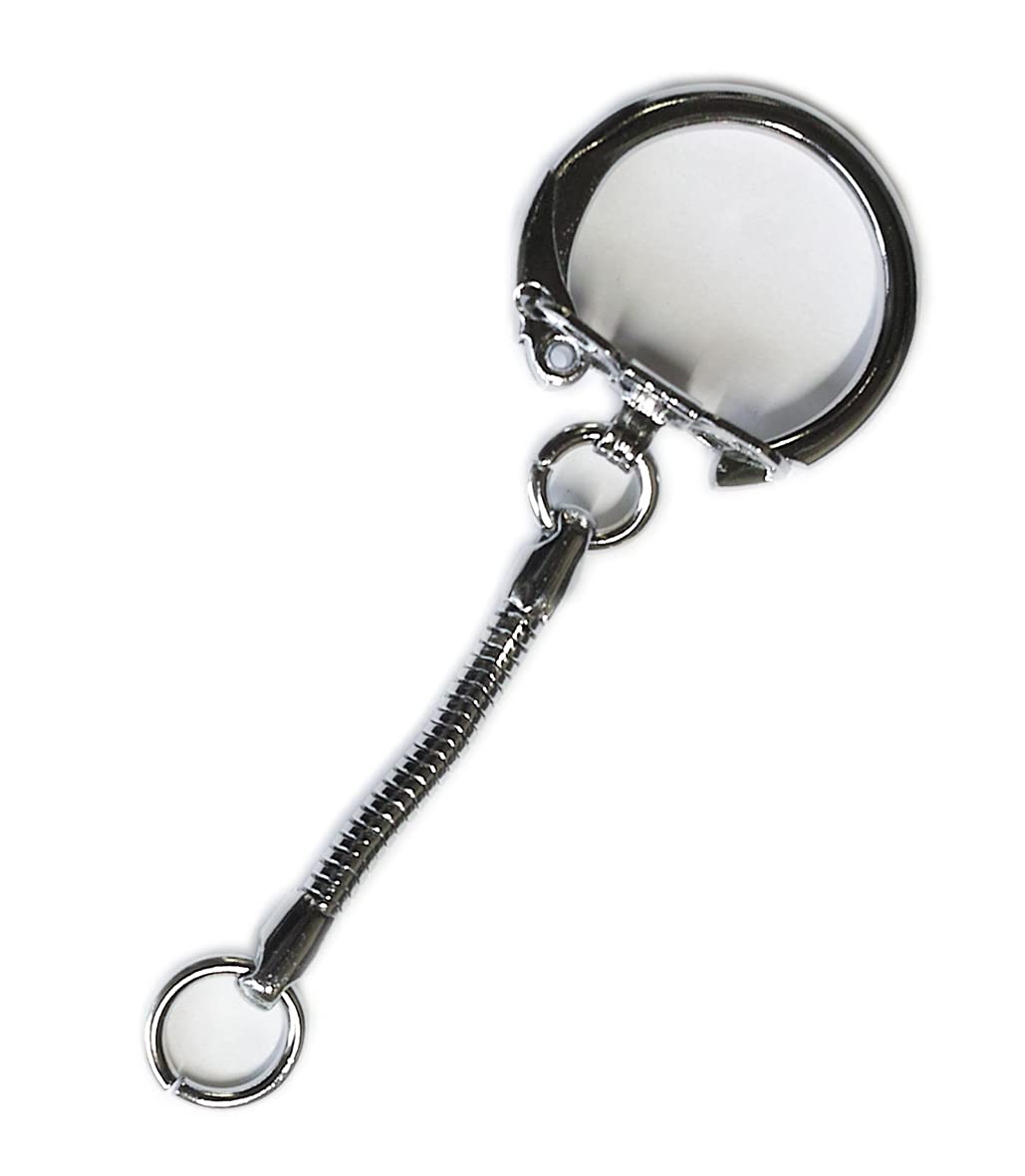 Amazon.co.jp: スネークキーホルダー 2．5cm シルバー 5個 【画像は  