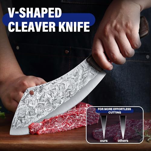 DRAGON RIOT Chef Butcher Knife Set for Meat Cutting, 4 Pcs Japanese Forged Chef Knives Set for Men and Women Gift for Men