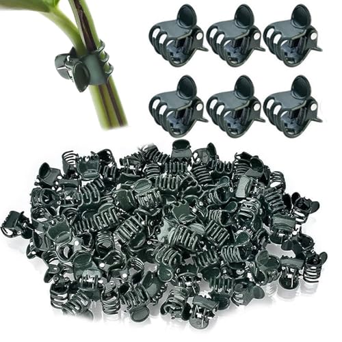 sundrerfect Juego de 100 Clips para Plantas, 1.5 cm - Ajustables, Reutilizables, para Orquídeas, Tomates y Enredaderas - Clips de Soporte para Tallos con Apertura de 2 cm