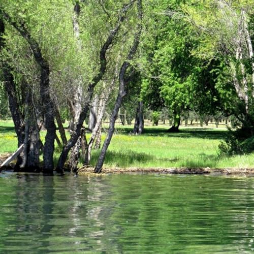 Prayer for today, January 24, 2023