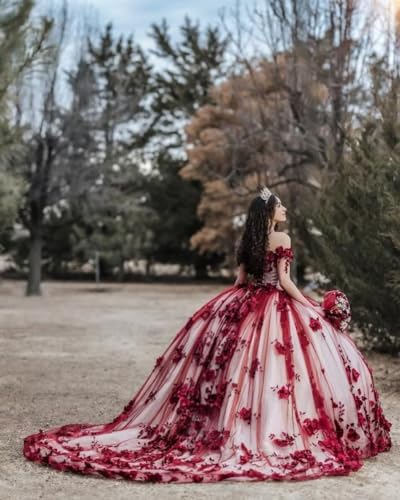 Puffy Tulle Quinceanera Dresses Ball Gown Off Shoulder Lace Sweet 16 Dresses Gorgeous Evening Gown4