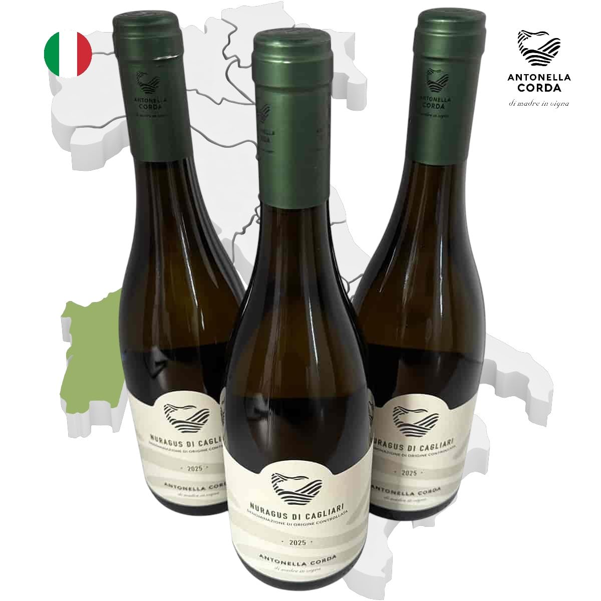 Antonella Corda Nuragus di Cagliari DOC BIO 2025 – 3×0,75 l – Sardischer Bio Weißwein – Trocken, mineralisch & elegant – Premium Wein aus Italien