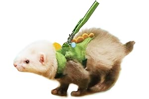 Ferret Harness and Leash Set: Secure and Adorable Adventures for Small Furry Friends