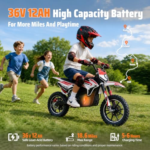 DEETAGO 36V 1000W Kids Dirt Bike