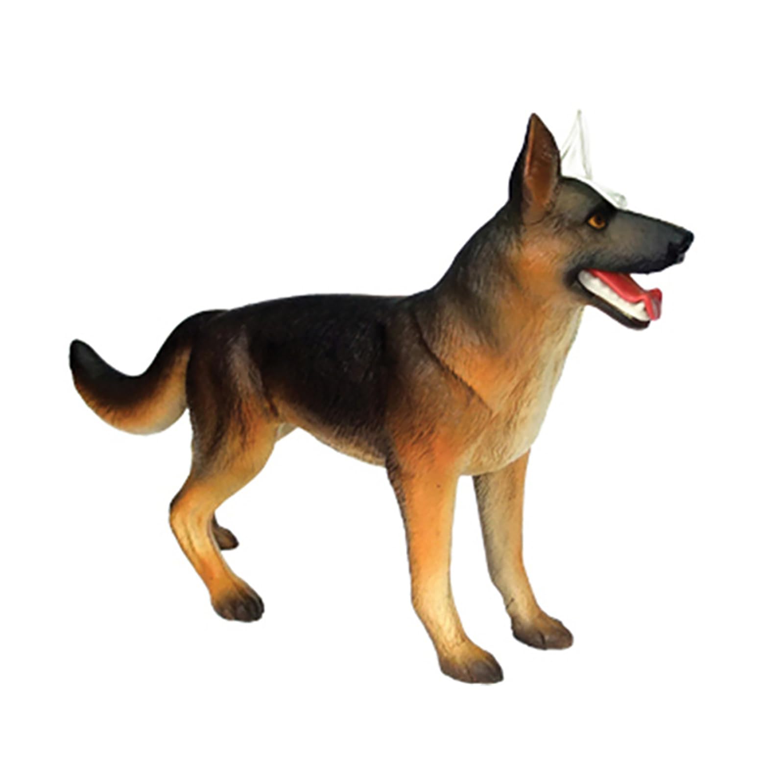 Genérico 4D Anatomía del Perro Modelo, Perro canino Esqueleto, Animal Esqueleto espécimen, Desmontable Biología, 29 Partes para la enseñanza de Animales de demostración