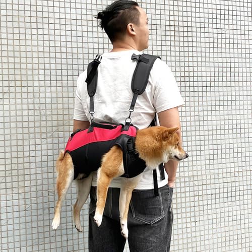 Bolsa de transporte para mascotas pequeñas para pasear con manos libres 6