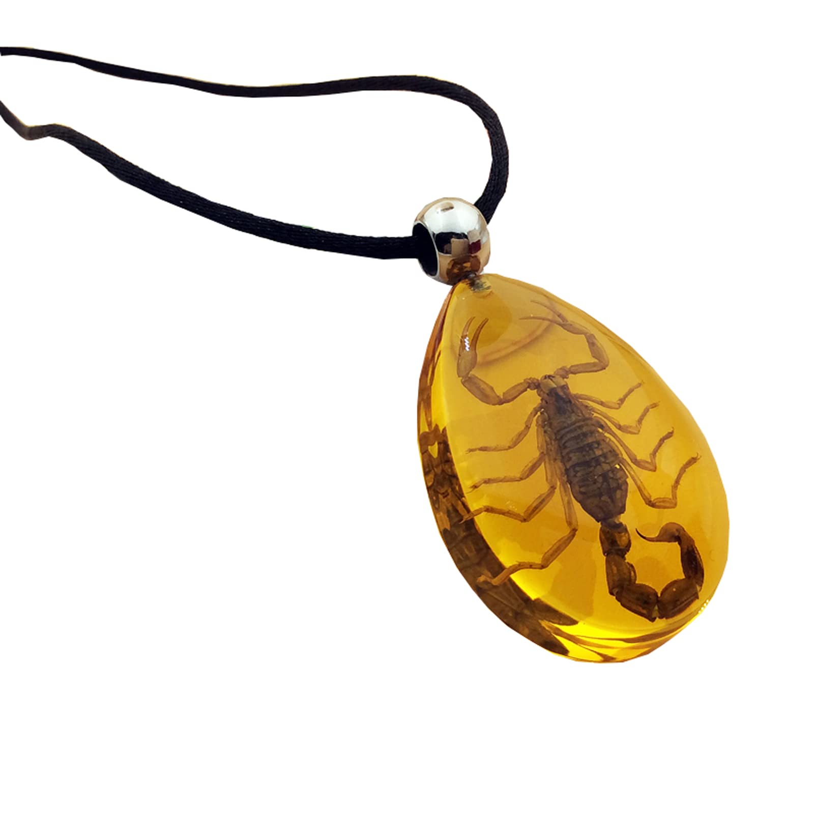 PALHERU Specimen Science,Insect ​Samples,Insect Stone,Insect Stone Natural Scorpions Inclusion Amber Baltic Pendant Necklace Home Decorative Stone Wedding Party Travel Gift.