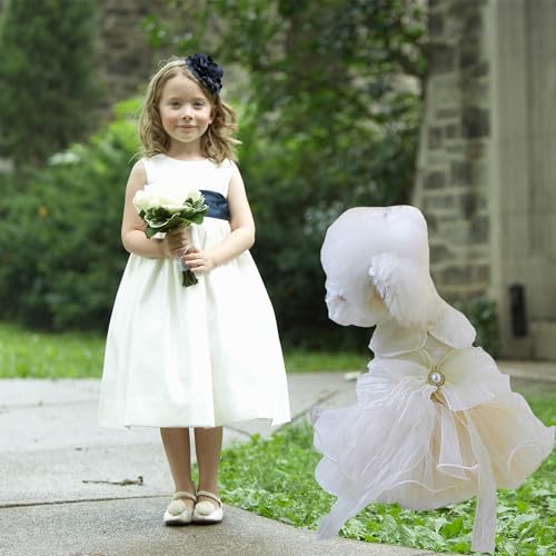 Ropa, Imagen adicional