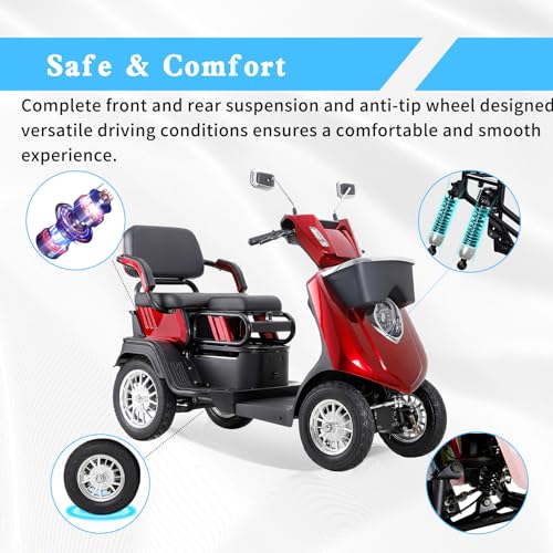 Dvsripa 1000W 2-Seater Mobility Scooter