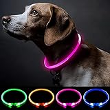 Collar de Perro LED con luz para Perros de Seguridad Personalizado con USB Recargable Super Brillante Collar de Perro Intermitente 4 Colores para Perros pequeños, medianos y Grandes