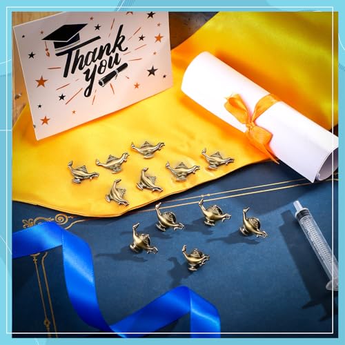 Image of Tondiamo 12 Pcs Nursing Pins for Pinning Ceremony Gold Florence Nightingale Lamp Lapel Brooches CNA RN Nurse Gifts Bulk Nurse Appreciation Week Badge Accessories
