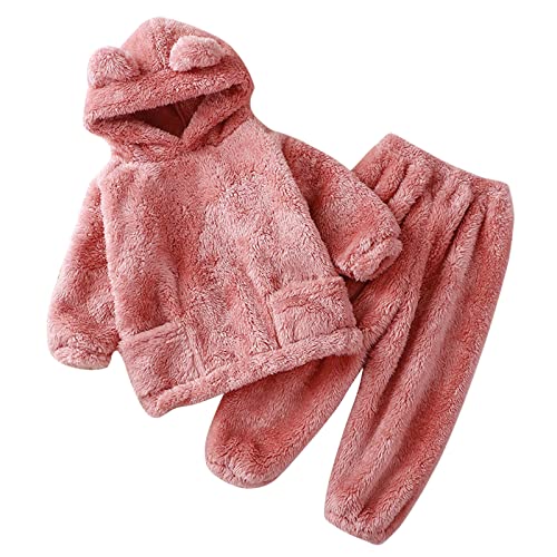 Toddler Boys Girls Fleece Outfits Baby Cute Bear Ear Hooded Clothing Set Think Warm Fall Winter 2 Piece Clothes