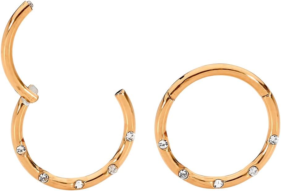 365 Sleepers 316L Surgical Steel Hypoallergenic 16G Gem Septum Jewelry Hinged Segment Ring Body Piercing Hoop Lip Rings Helix Cartilage Rook Sleeper Earrings 8mm – 10mm