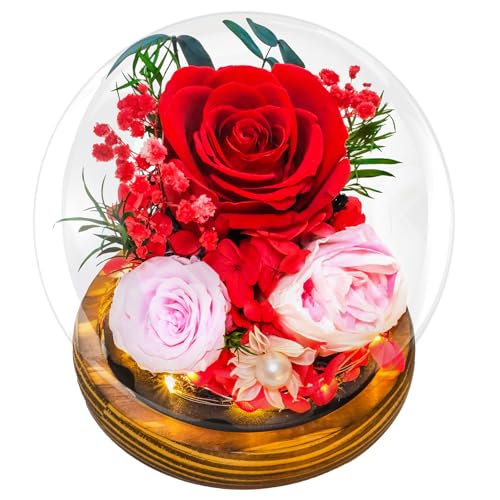 Preserved Red Rose in Glass Dome with LED Light