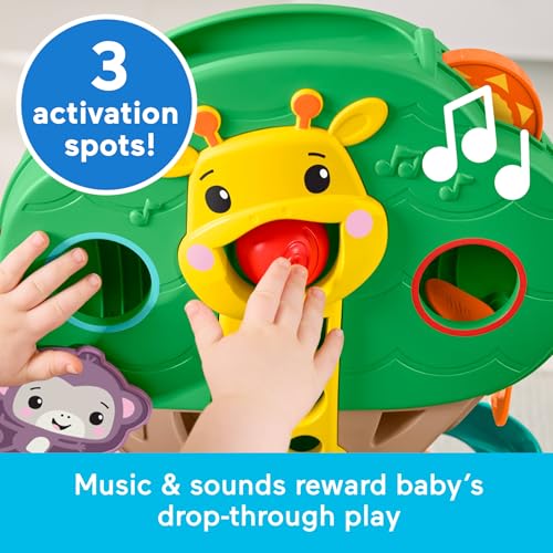 Fisher-Price Sit-to-Stand Jungle Tree Musical Activity Toy - image 3