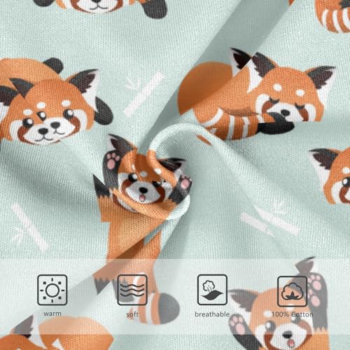 Boys' Exclusive Briefs Toddler Underwear 95% Combed Cotton Boxerbriefs 2T Red Panda Pattern 23