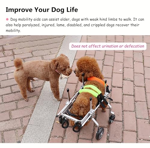 Silla de ruedas para perros medianos de 4 ruedas con arnés y asa de soporte 4