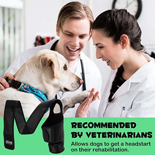 Image of Dog Knee Brace for Support Cruciate Ligament Injury, Joint Pain And Muscle Sore, Dog Leg Brace for ACL Support, Reduces Pain and Inflammation, Adjustable Pet Brace with 10 Side Stabilizers (L)