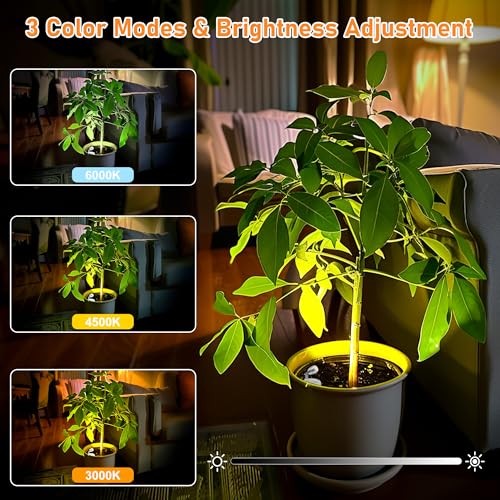 Image of 4 Pack Wireless Spot Lights Indoor, Battery Operated Uplighting, Mini Spotlight with Remote 3CCT Tree Lights Indoor, Accent Wall Lights for Display Plant Picture Dartboard